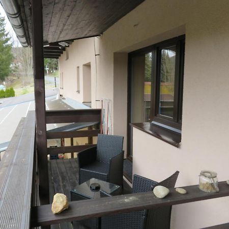 Pension Aura Spicak, Nektere Pokoje Se Saunou Železná Ruda Exteriör bild