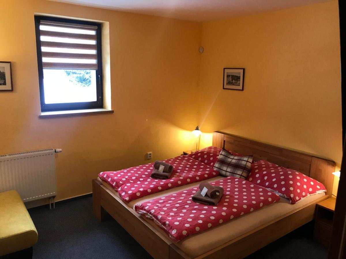 Pension Aura Spicak, Nektere Pokoje Se Saunou Železná Ruda Exteriör bild
