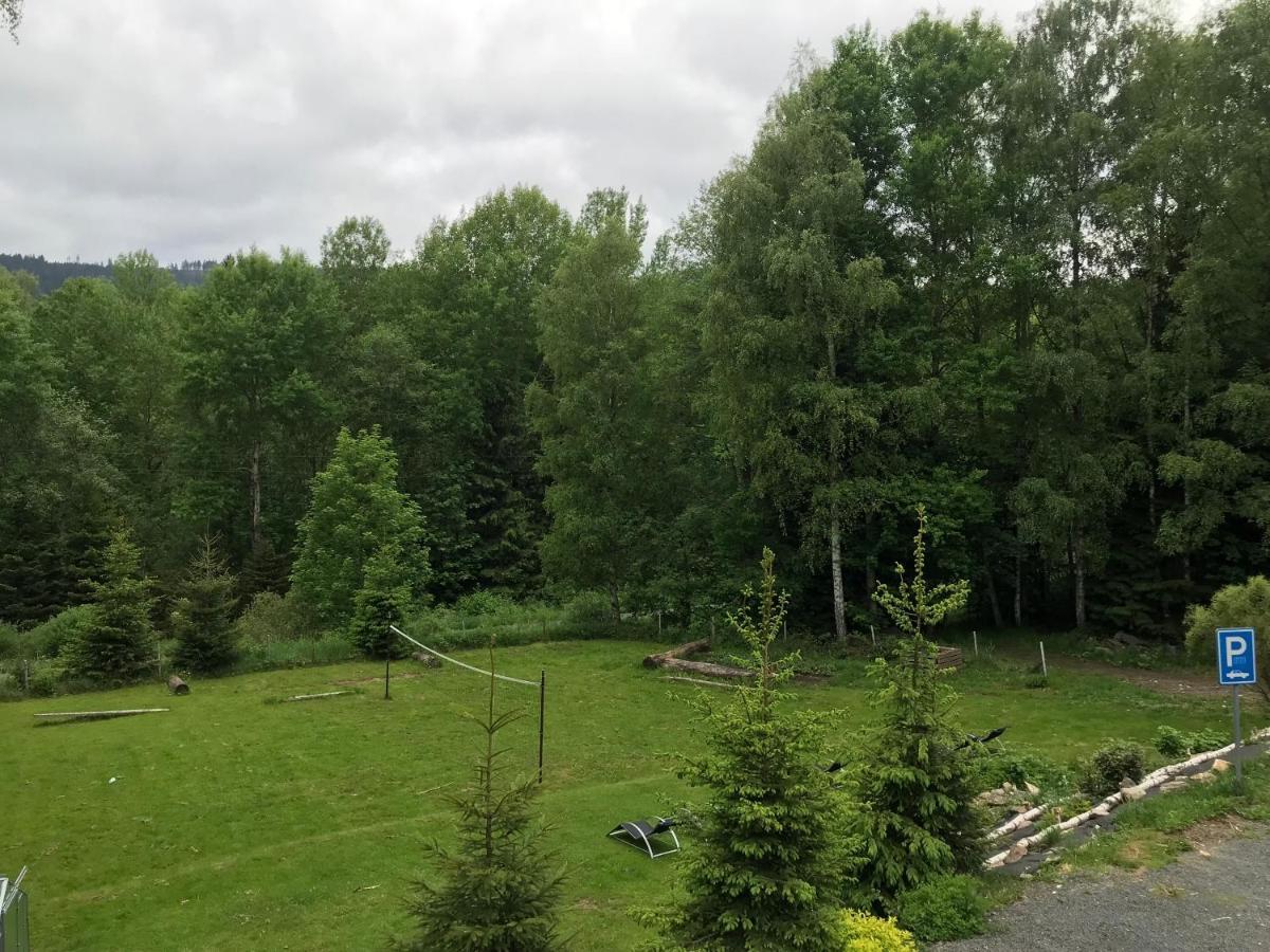 Pension Aura Spicak, Nektere Pokoje Se Saunou Železná Ruda Exteriör bild