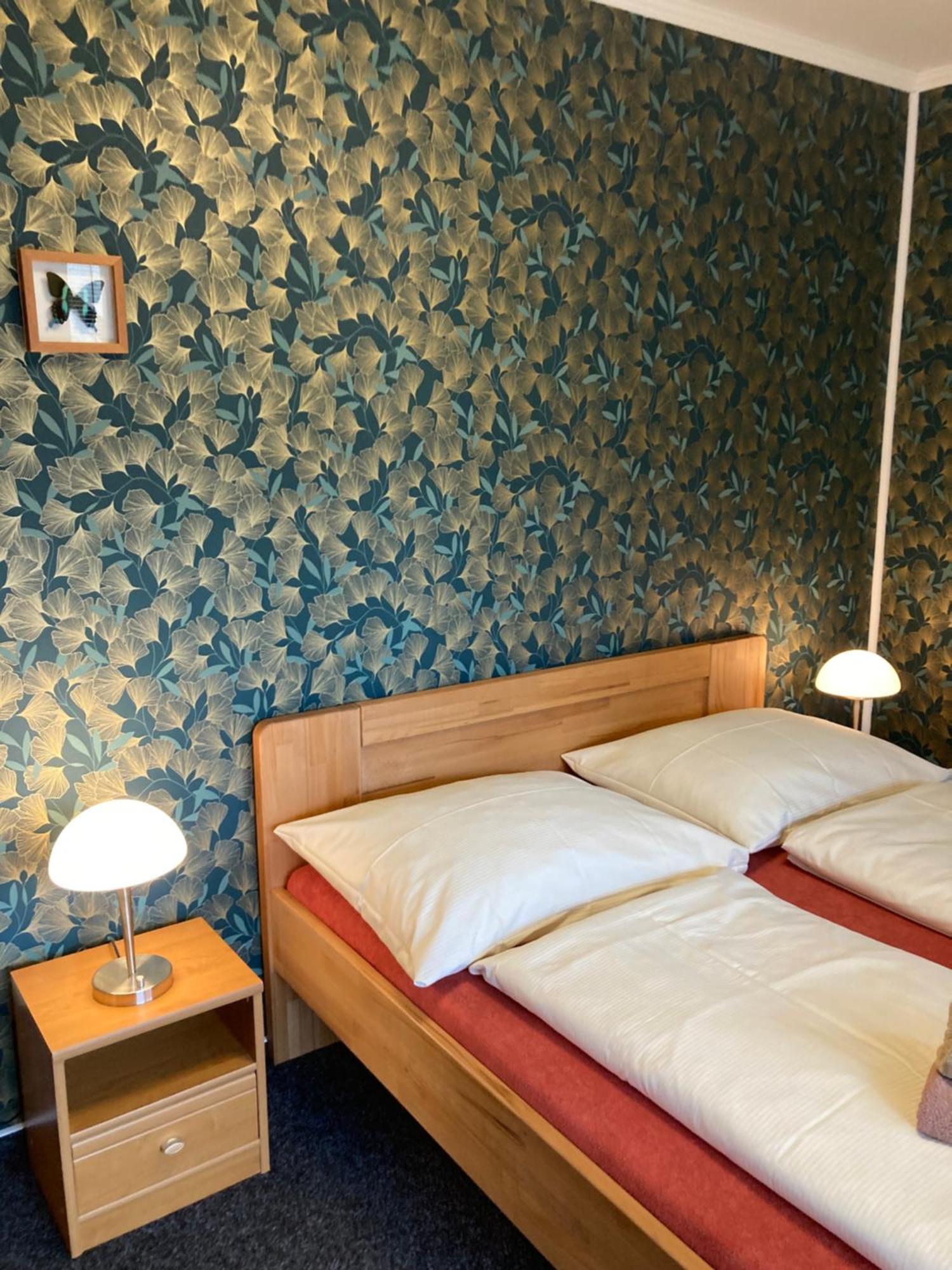 Pension Aura Spicak, Nektere Pokoje Se Saunou Železná Ruda Exteriör bild