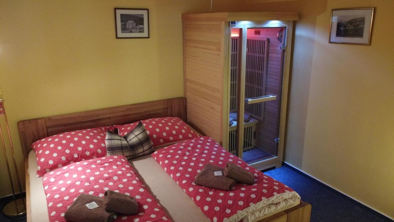 Pension Aura Spicak, Nektere Pokoje Se Saunou Železná Ruda Exteriör bild